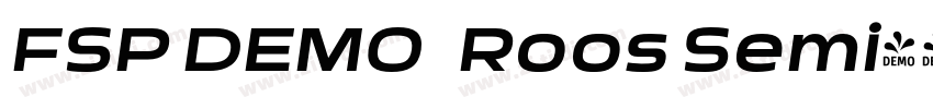 FSP DEMO   Roos Semi字体转换